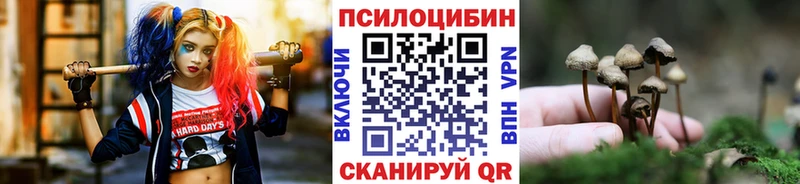 Галлюциногенные грибы прущие грибы  Купить закладки  Апшеронск 